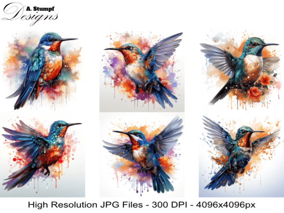 Download A Humming Bird - Bird Collection