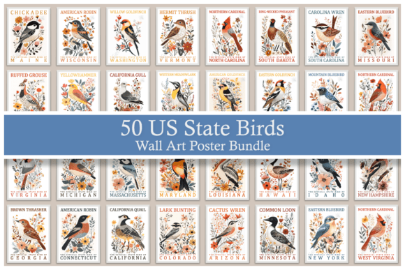 Download 50 US State Birds Wall Art Poster Bundle - Bird Collection