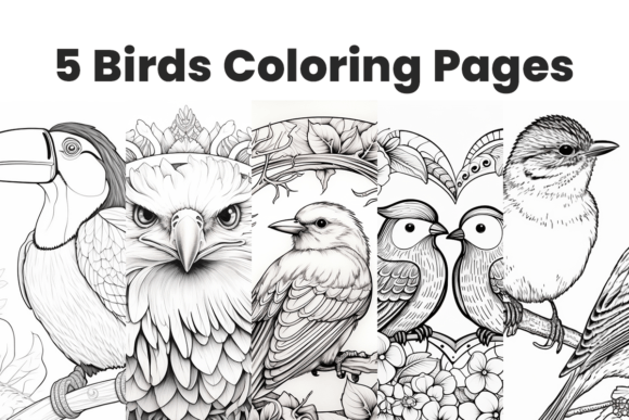Download 5 Coloring Pages with Realistic Birds - Bird Collection