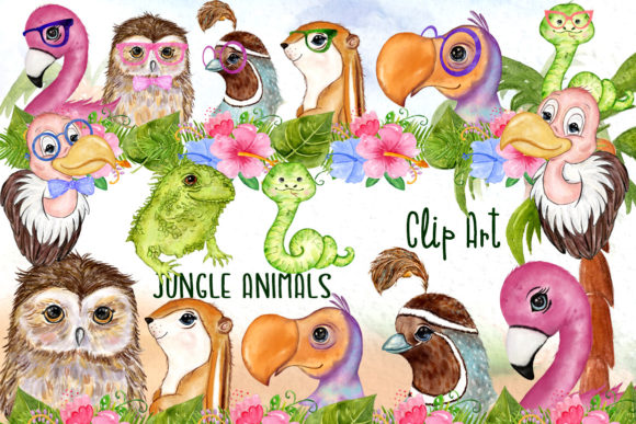 Download Tropical Birds Cute Safari Animals - Bird Collection