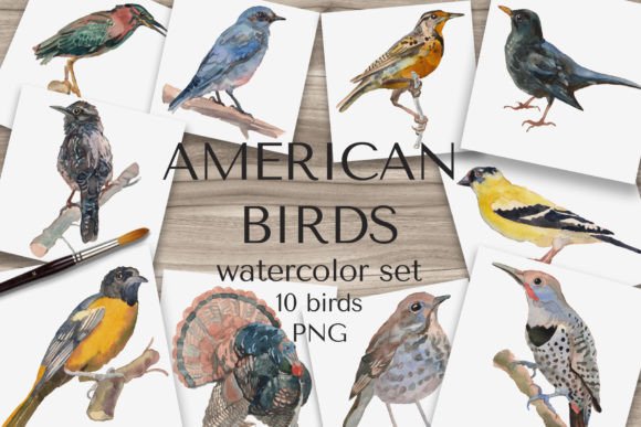 Download "American Birds" Watercolor Set - Bird Collection
