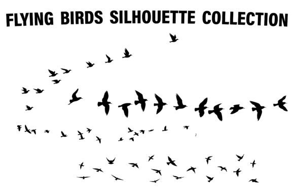 Download Flying Flock Birds Vector Set - Bird Collection