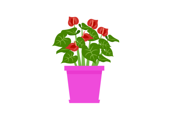 Download Houseplants Indoors - Indoors Collection