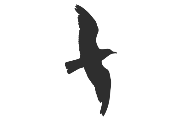 Download Flying Bird Black Silhouette. Wild Fauna - Bird Collection