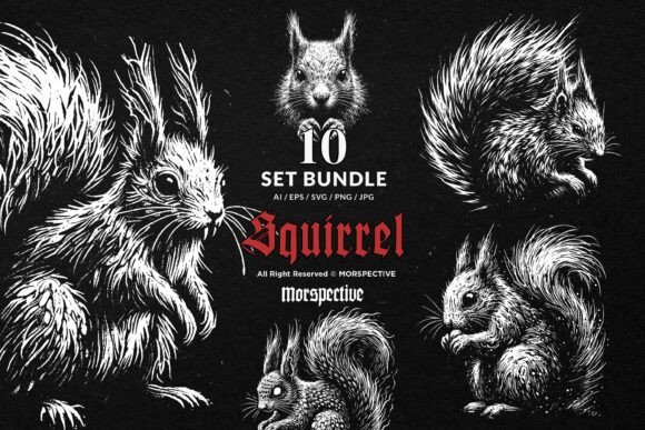 Download 10 Bundle Dark Art Squirrel Animal - Squirrel Collection