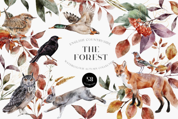 Download Autumn Forest Animals Watercolor PNG - Forest animals Collection