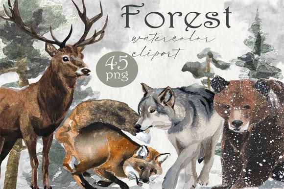 Download Watercolor Forest PNG, Forest Animals - Forest animals Collection